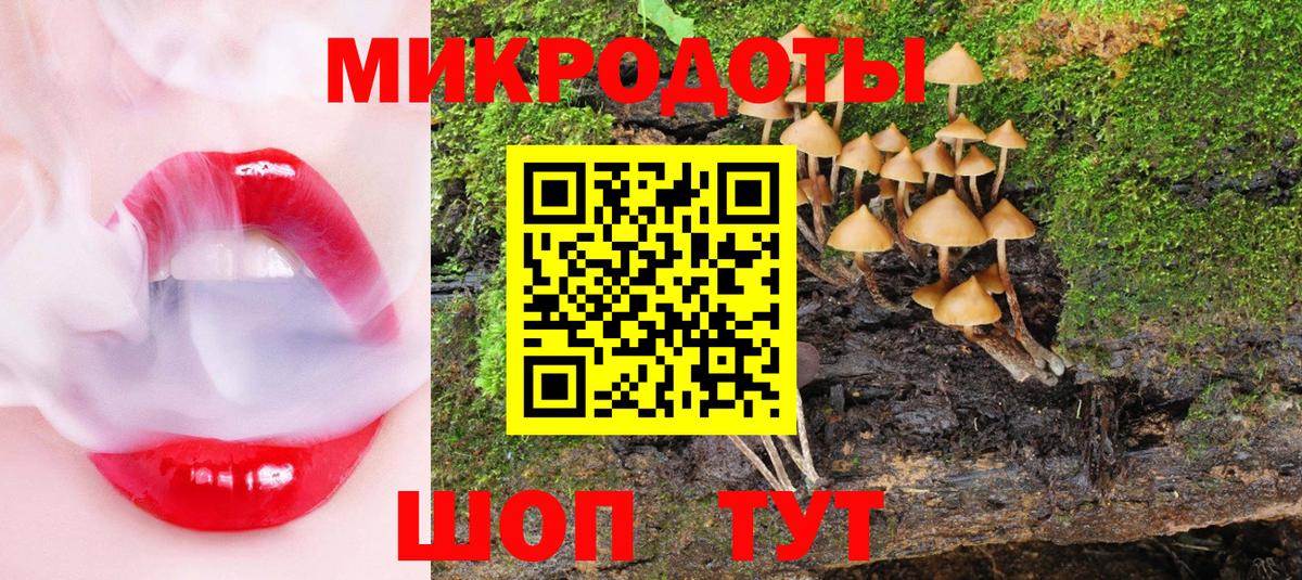 Галлюциногенные грибы Magic Shrooms  Вход с VPN  Нерюнгри 