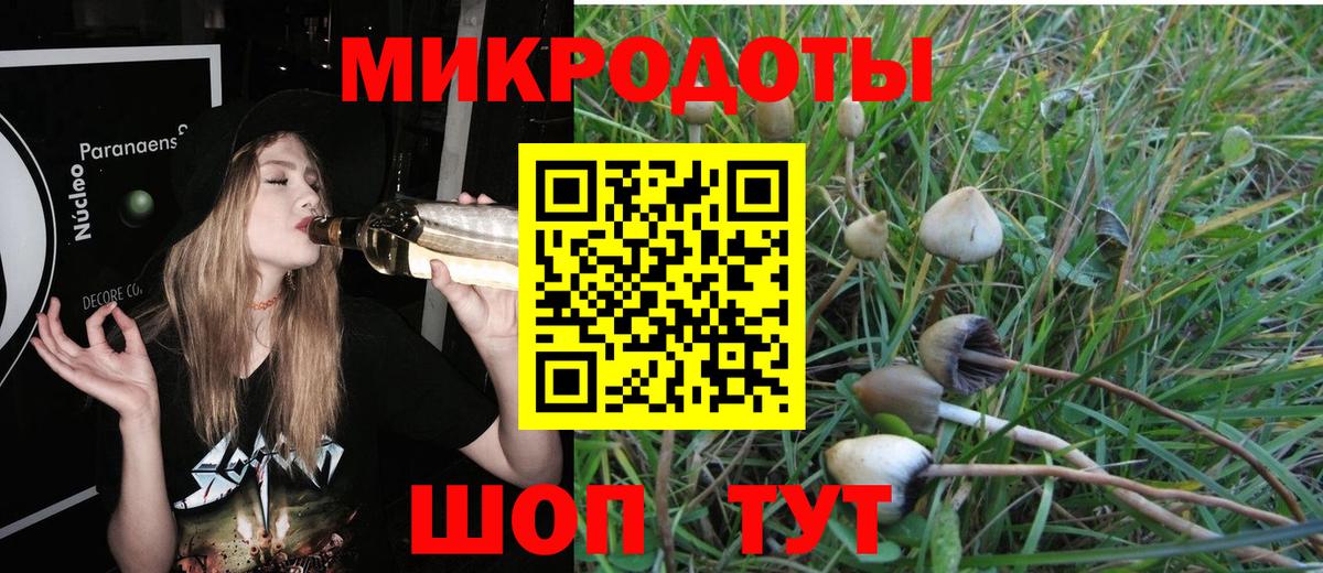Галлюциногенные грибы прущие грибы Нерюнгри
